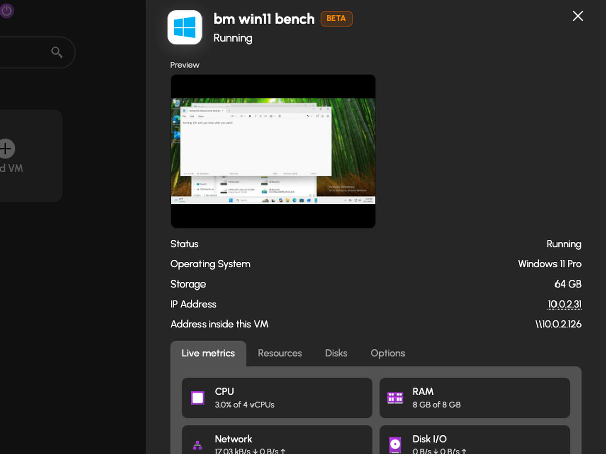 A running VM's live metrics